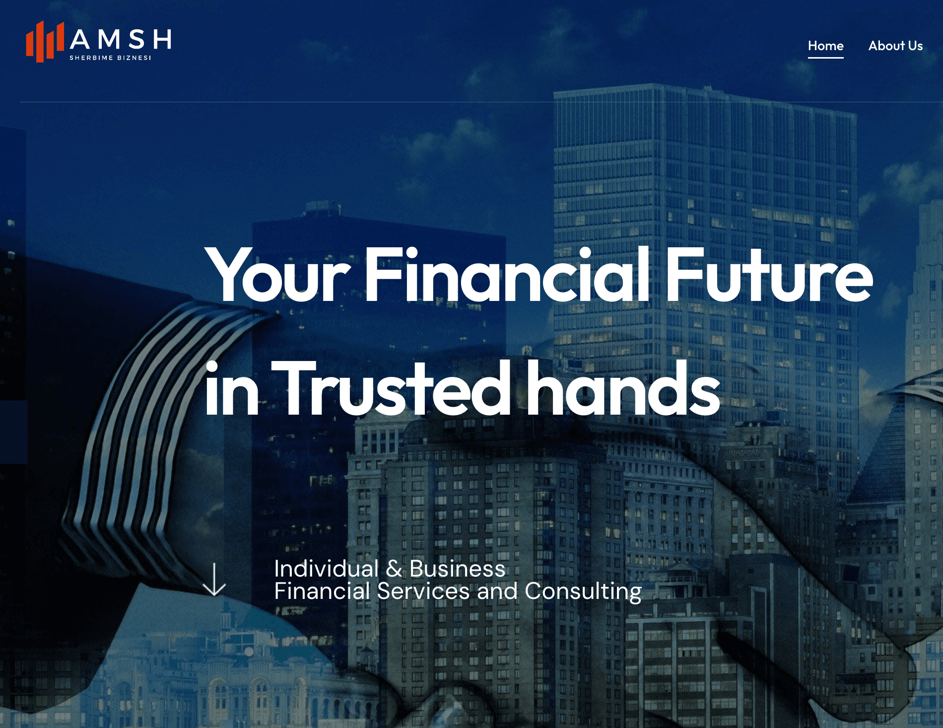 AMSH - Financial Expert Group